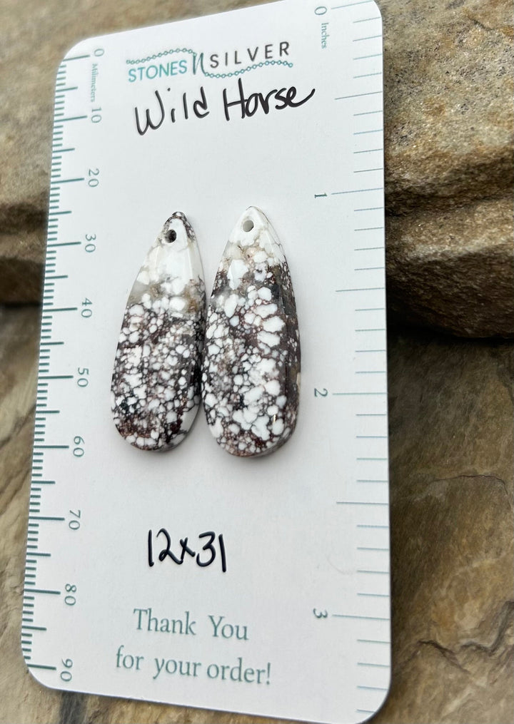 RARE Arizona Wild Horse Matching Earring Slab Bead Pair