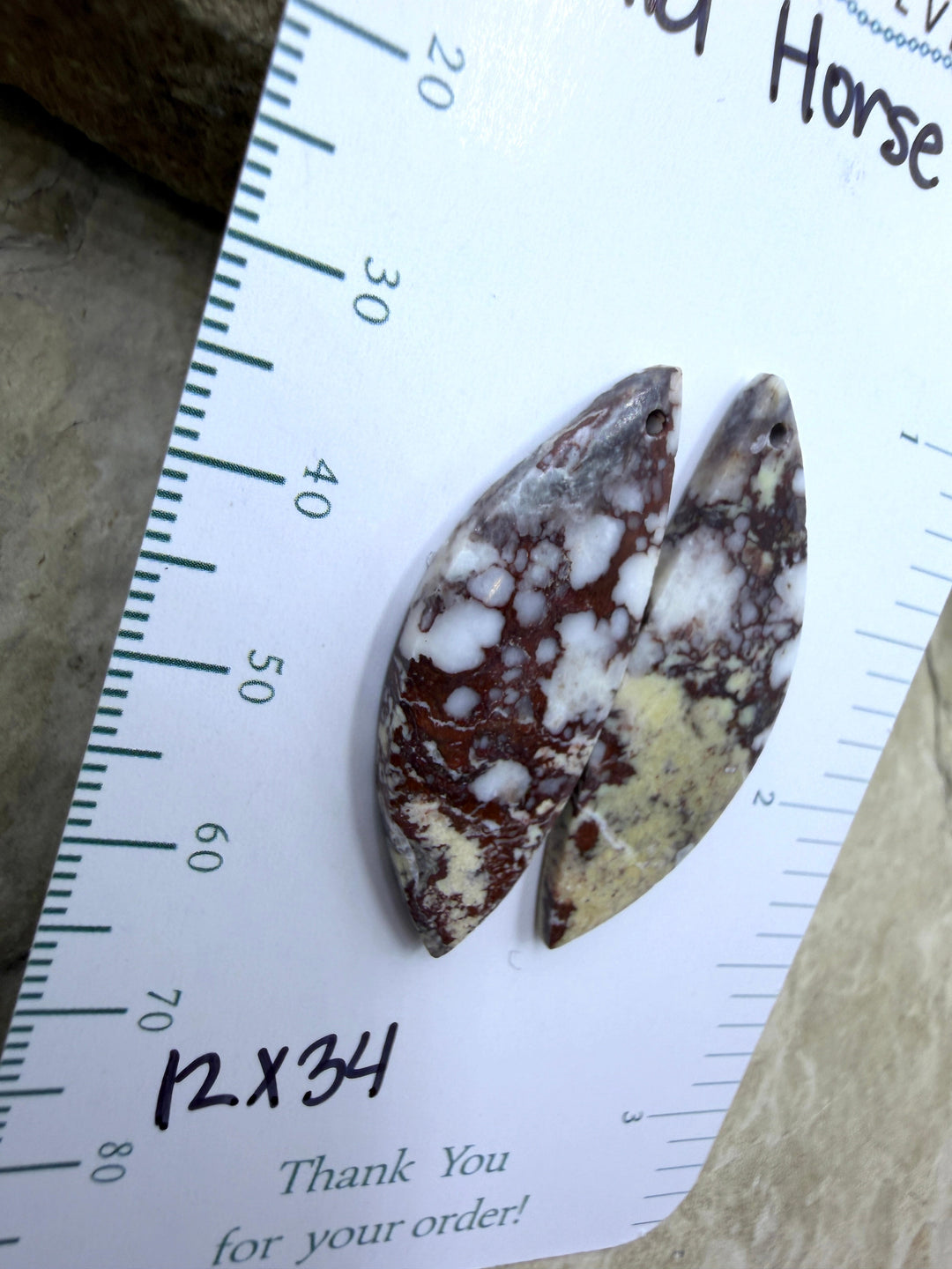 RARE Arizona Wild Horse Matching Earring Slab Bead Pair