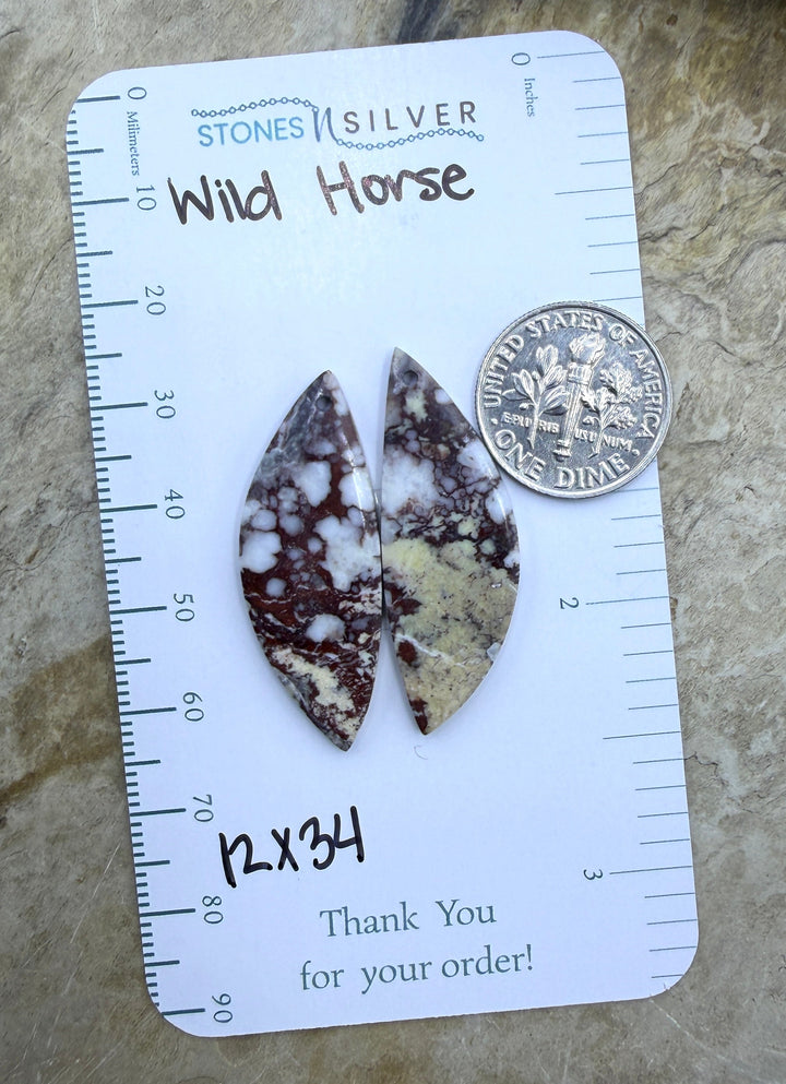 RARE Arizona Wild Horse Matching Earring Slab Bead Pair