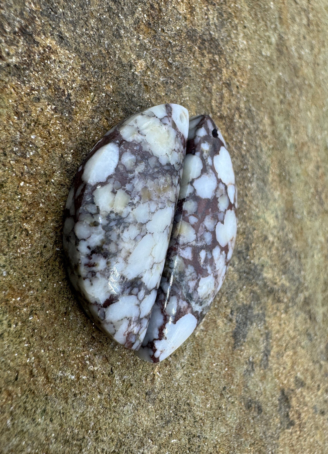 RARE Arizona Wild Horse Matching Earring Slab Bead Pair