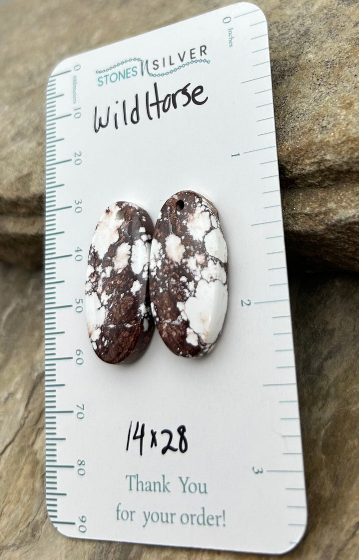 RARE Arizona Wild Horse Matching Earring Slab Bead Pair