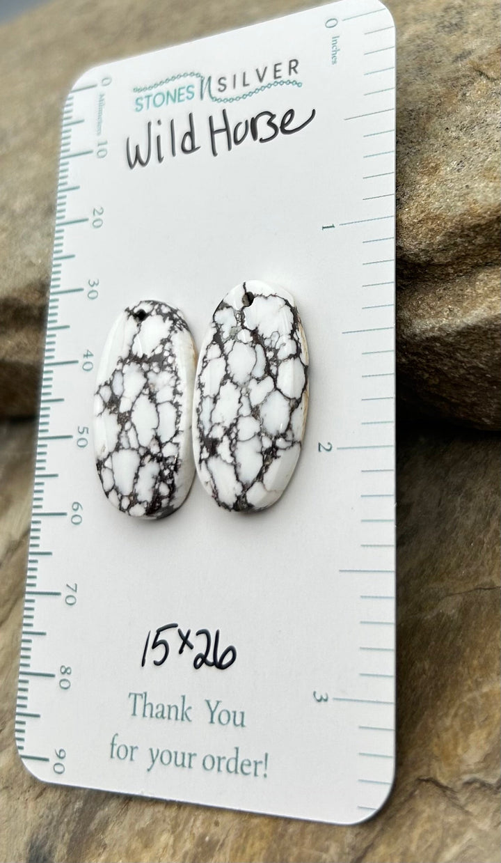 RARE Arizona Wild Horse Matching Earring Slab Bead Pair