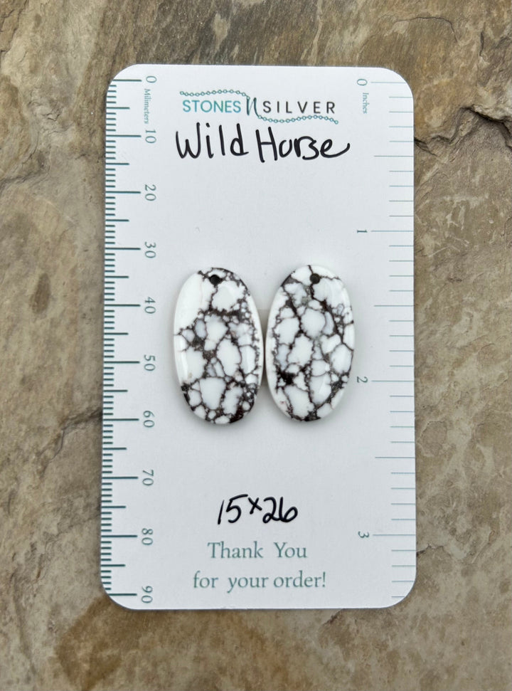 RARE Arizona Wild Horse Matching Earring Slab Bead Pair