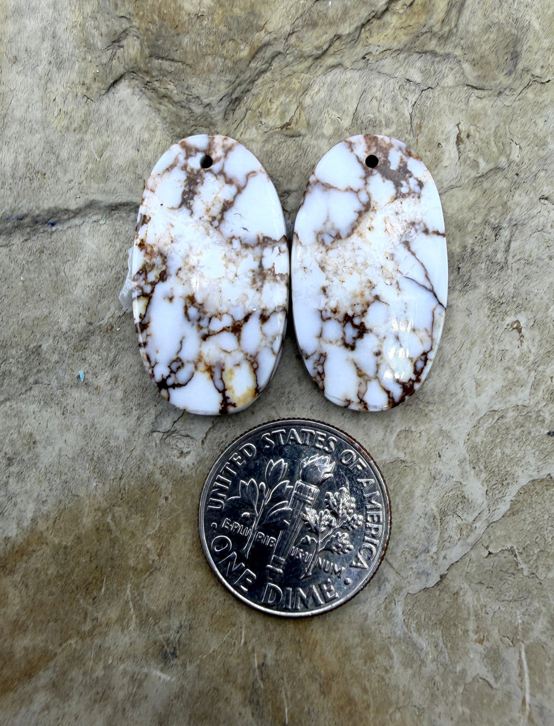 RARE Arizona Wild Horse Matching Earring Slab Bead Pair