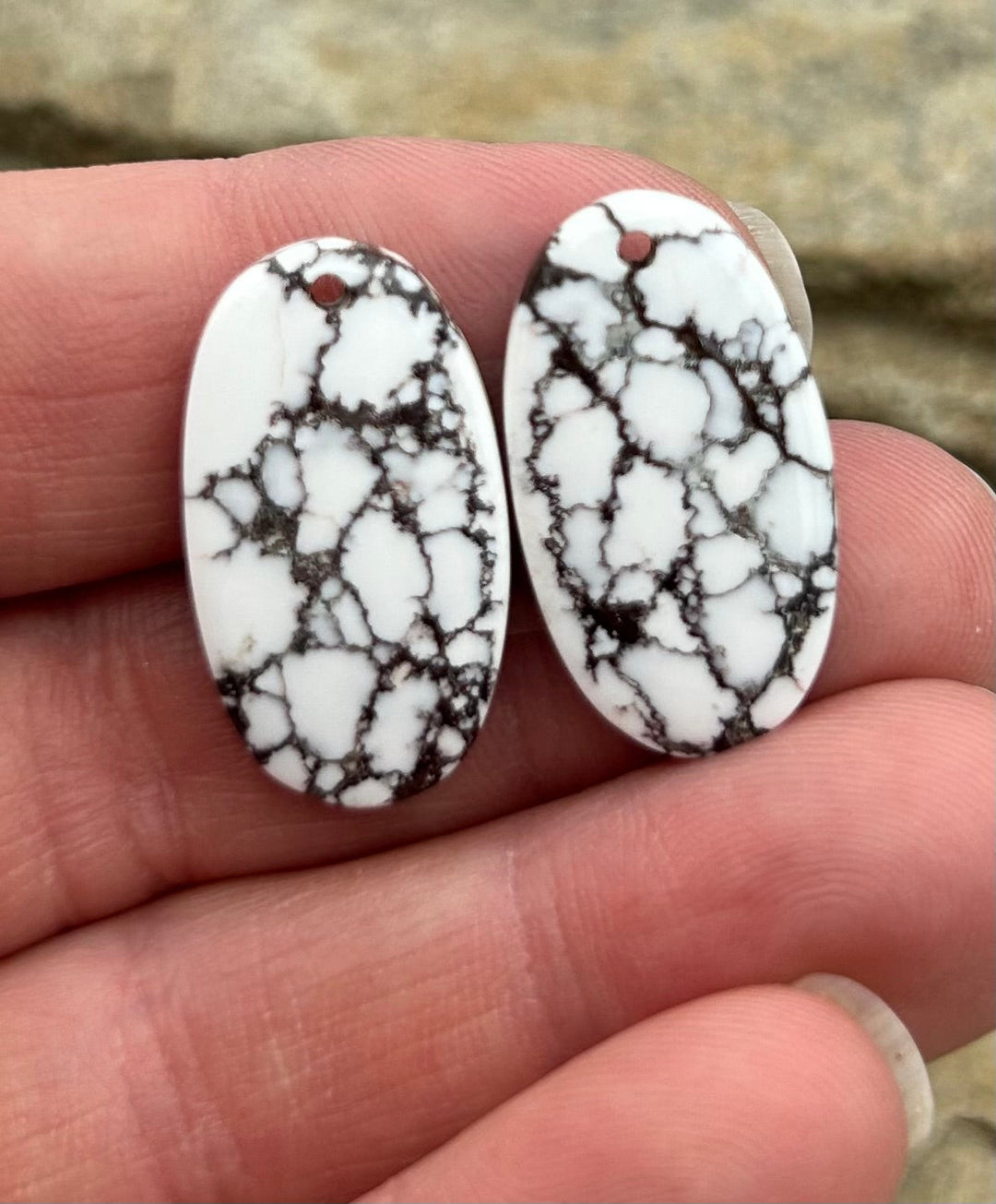 RARE Arizona Wild Horse Matching Earring Slab Bead Pair