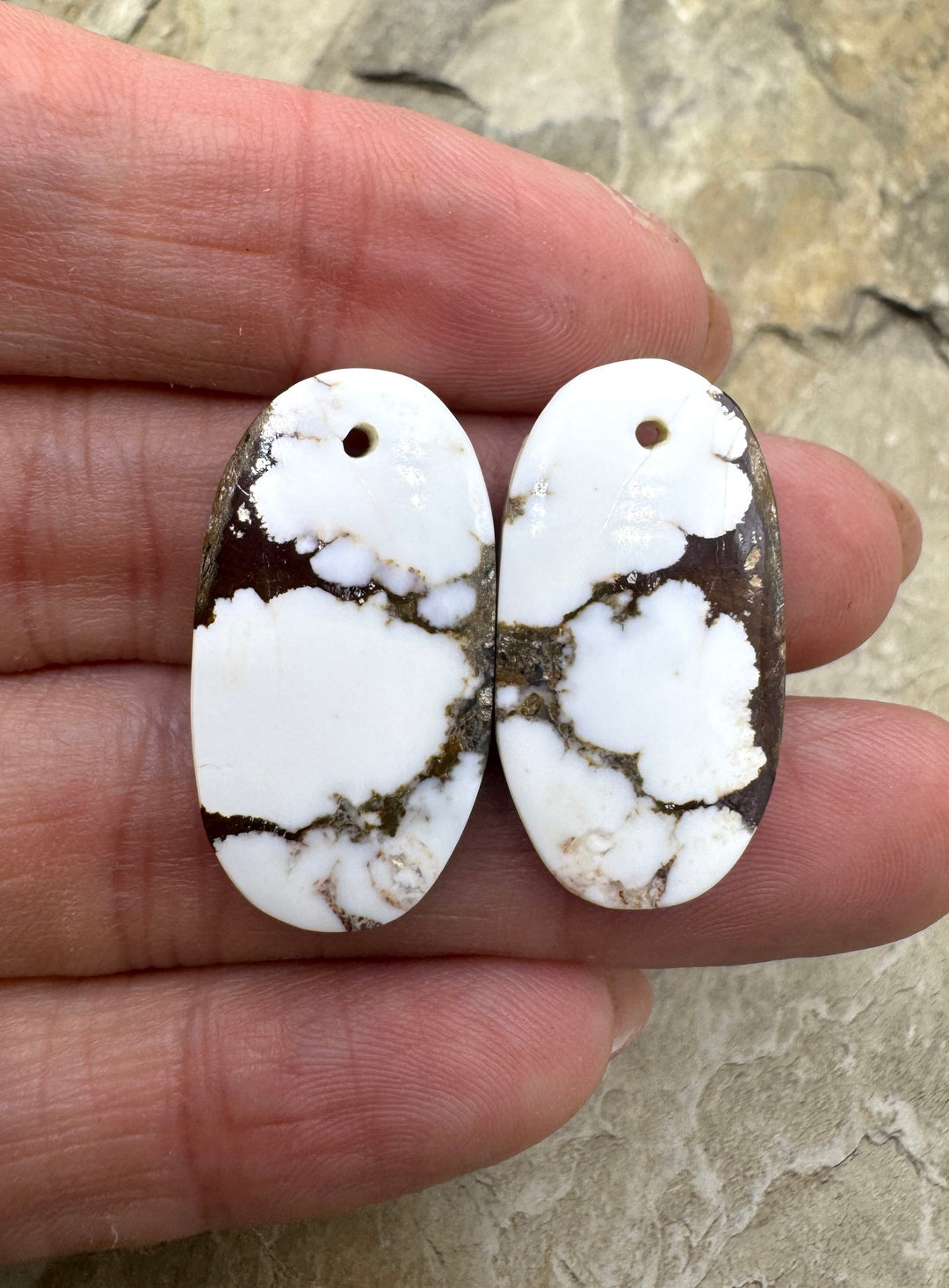 RARE Arizona Wild Horse Matching Earring Slab Bead Pair