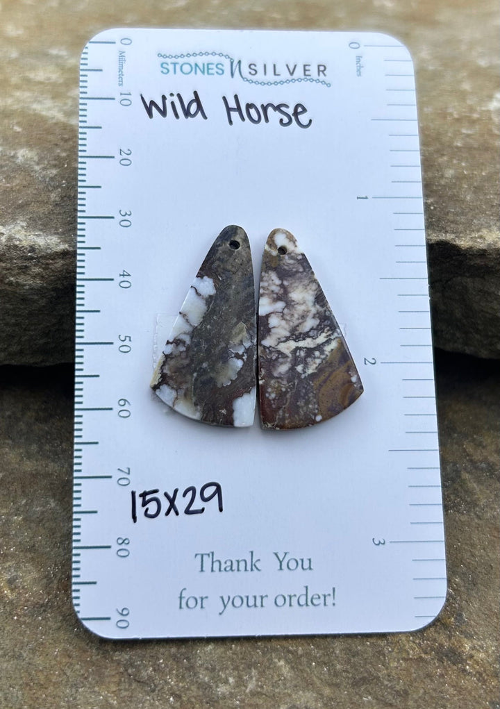 RARE Arizona Wild Horse Matching Earring Slab Bead Pair