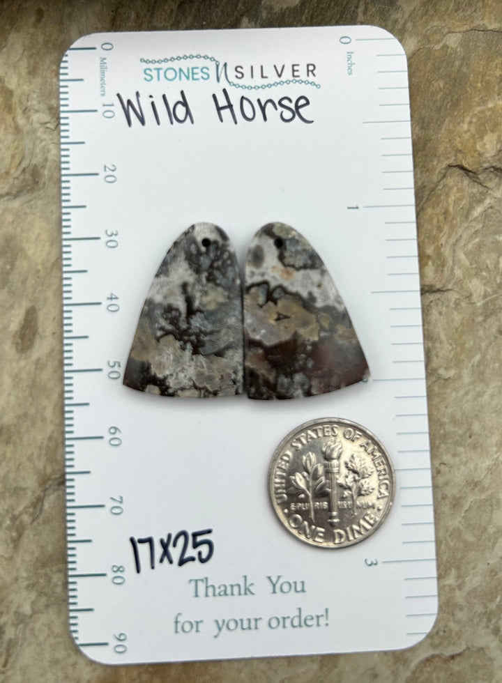 RARE Arizona Wild Horse Matching Earring Slab Bead Pair