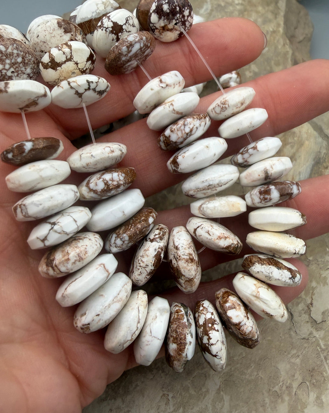 RARE Arizona Wild Horse Medium Graduated Saucer Beads