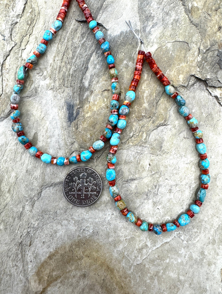 RARE Blue Ridge Turquoise (Nevada) and Spiny Oyster