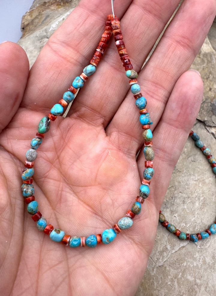 RARE Blue Ridge Turquoise (Nevada) and Spiny Oyster