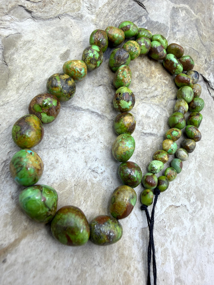 RARE Boulder Sonoran Gold Turquoise (Mex) Graduated Rounded