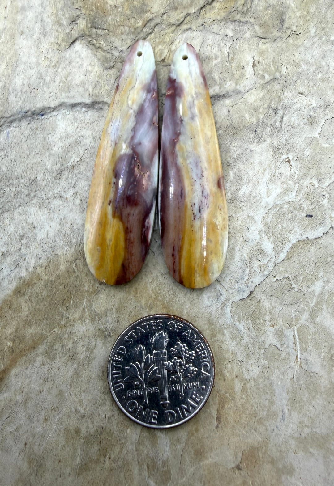 RARE Dead Camel Jasper (Nevada) Matching Earring Slab Bead