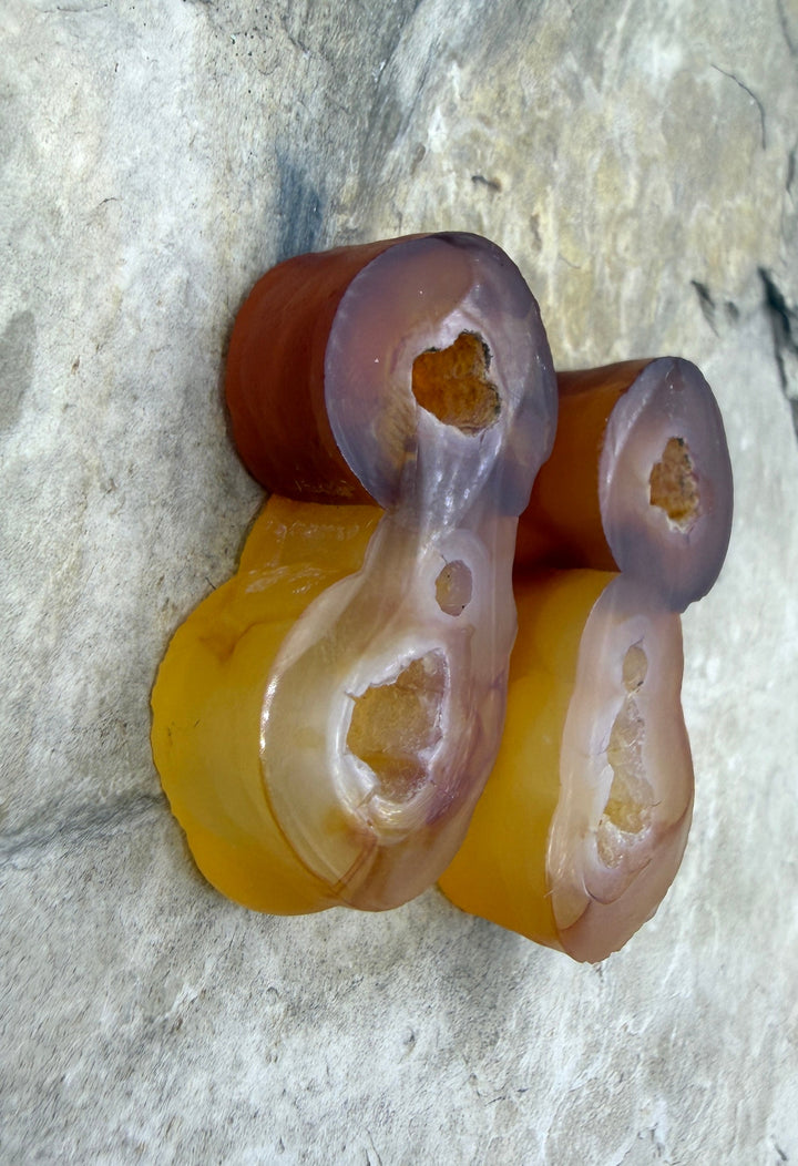 RARE Fossilized Bamboo Bead Pair 10x18x38mm - Fossil Bamboo