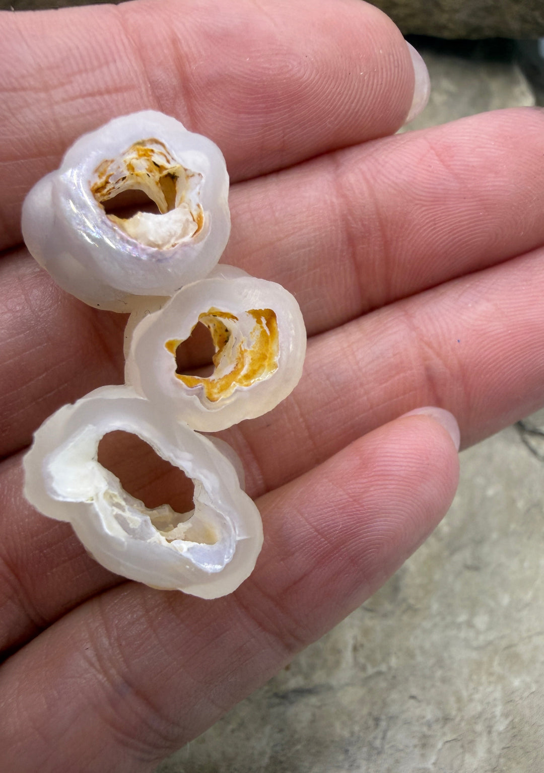 RARE Fossilized Bamboo Focal Bead 13x34mm - Fossil Bamboo