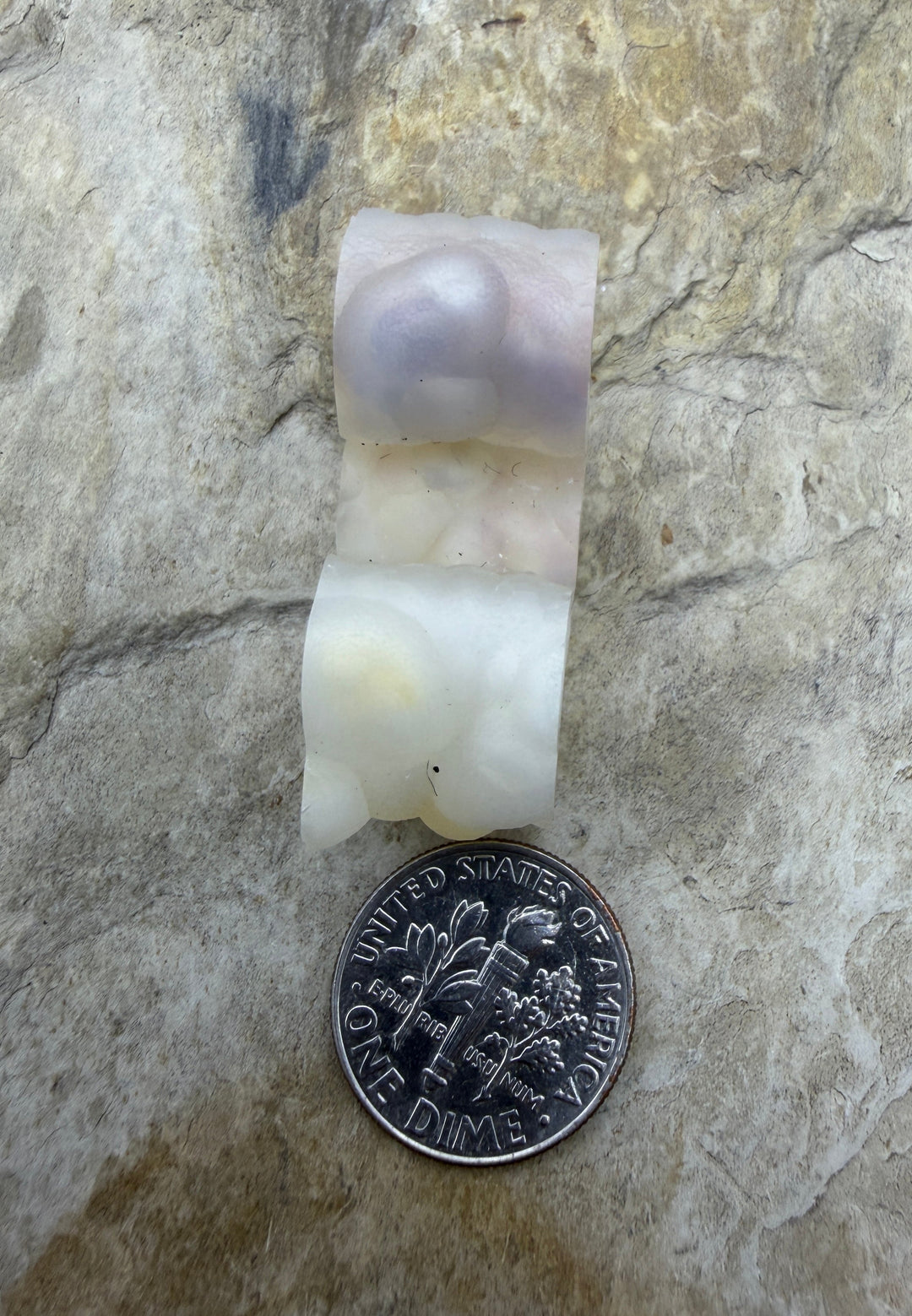 RARE Fossilized Bamboo Focal Bead 13x34mm - Fossil Bamboo