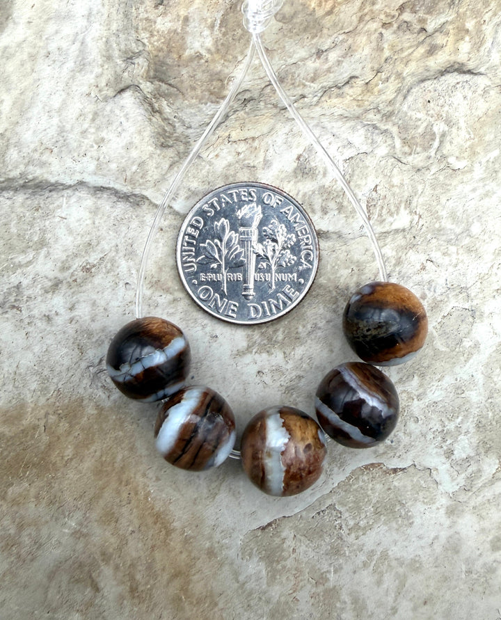 RARE Fossilized Woolly Mammoth Molar 10mm Beads Set of 5