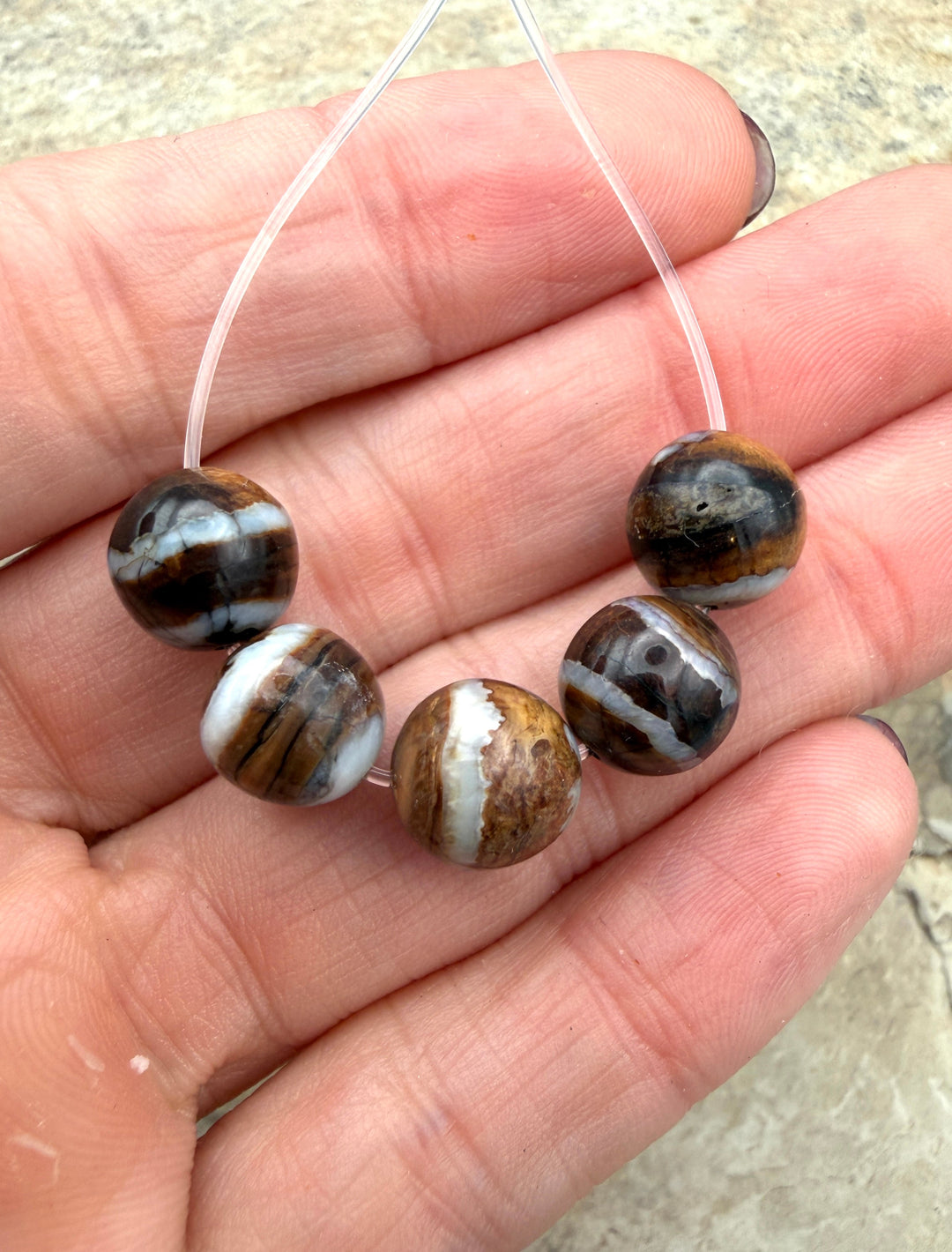 RARE Fossilized Woolly Mammoth Molar 10mm Beads Set of 5
