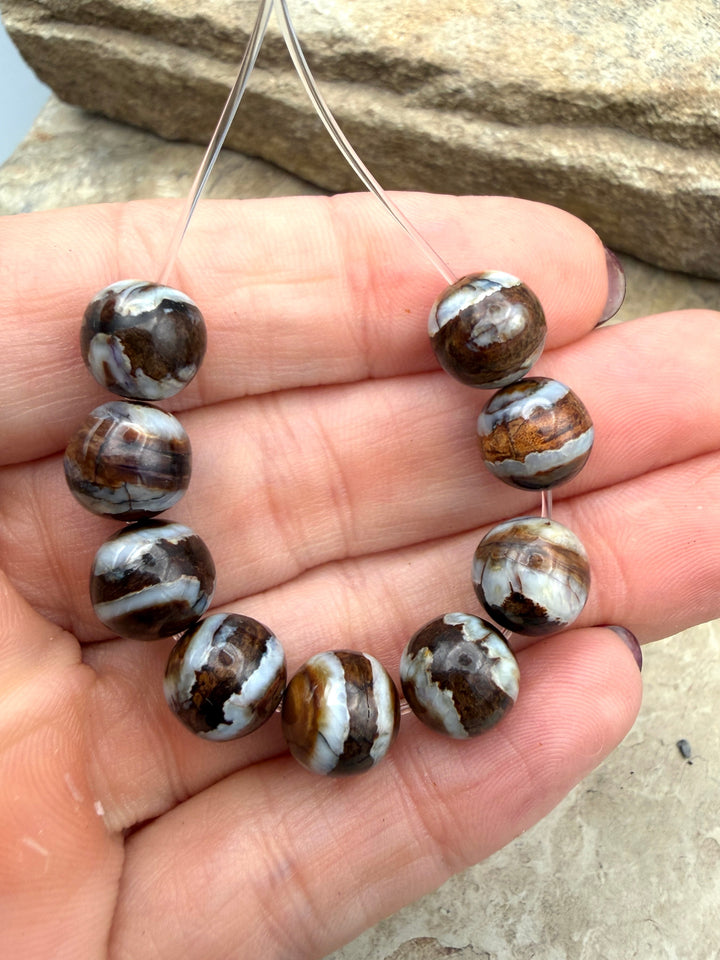 RARE Fossilized Woolly Mammoth Molar 10mm Beads Set of 9
