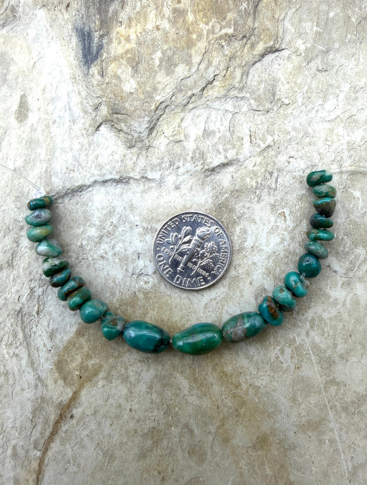RARE Fox Turquoise (Nevada) Focal Strand 3.5 Inches