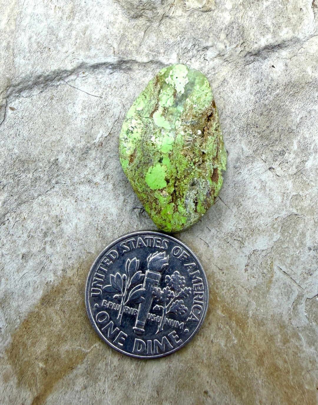 RARE Gaspeite (Canada) Freeform Cabochon 17x24mm - Gaspeite