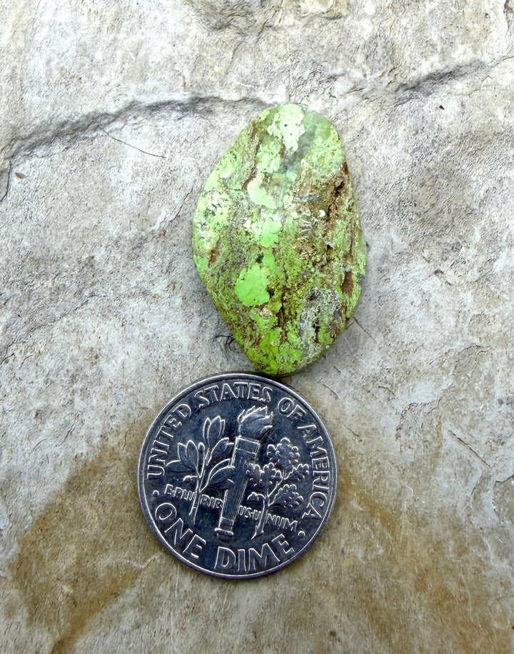 RARE Gaspeite (Canada) Freeform Cabochon 17x24mm - Gaspeite