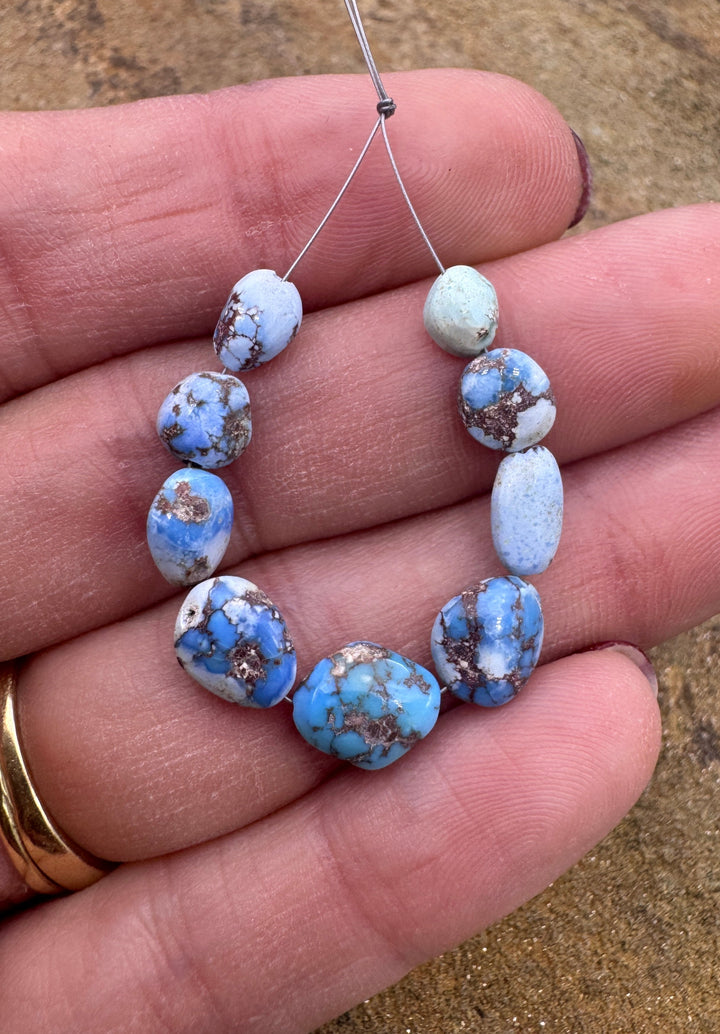 RARE Golden Hills Turquoise (Kazakhstan) 5-8mm Irregular