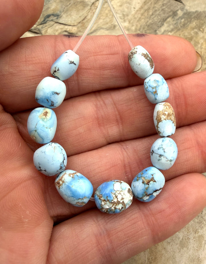RARE Golden Hills Turquoise (Kazakhstan) Graduated Large