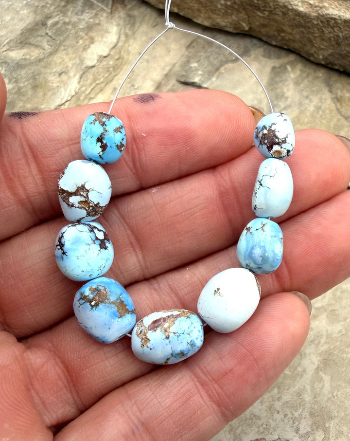 RARE Golden Hills Turquoise (Kazakhstan) Graduated Large