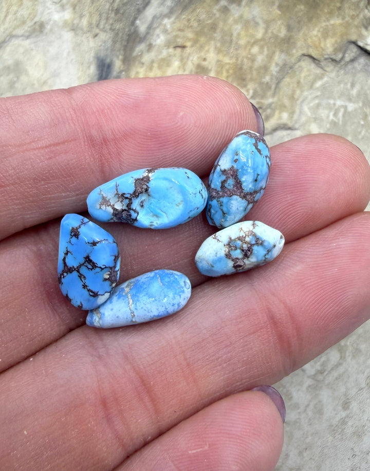 RARE Golden Hills Turquoise (Kazakhstan) Large Freeform