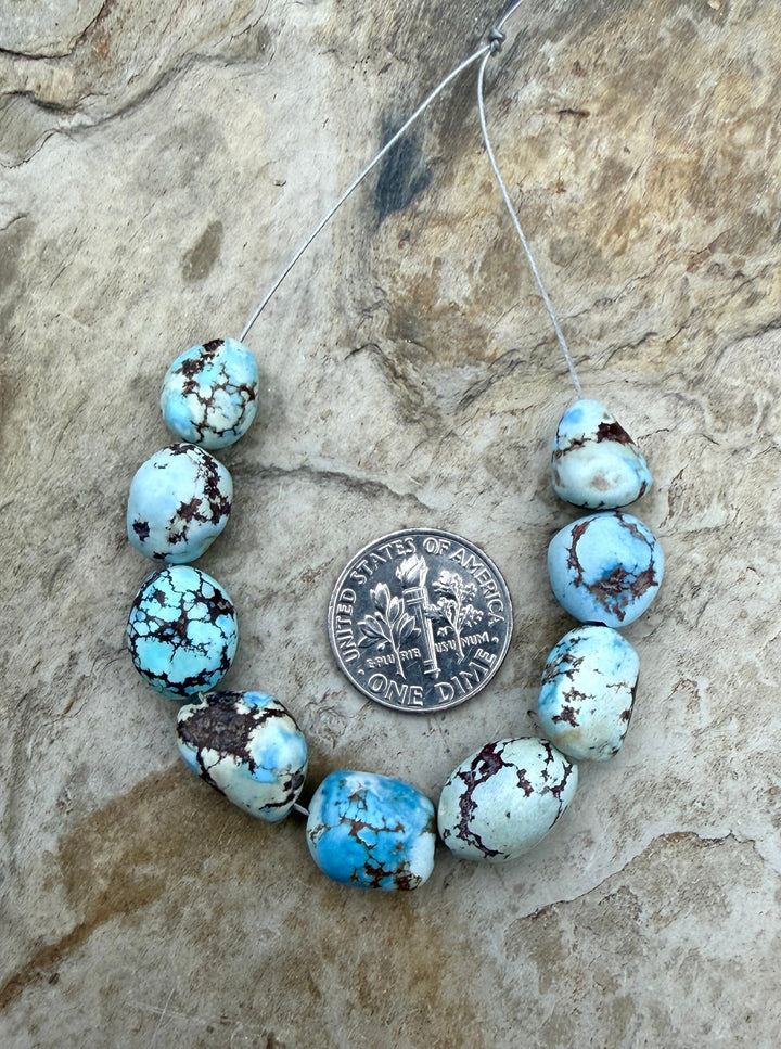 RARE Golden Hills Turquoise (Kazakhstan) Large Rounded
