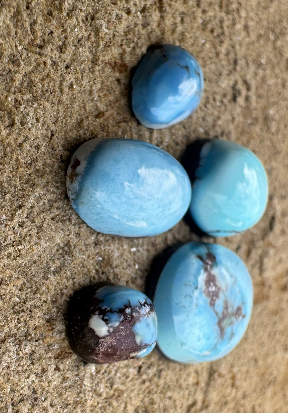 RARE Golden Hills Turquoise (Kazakhstan) Mini Cabochons Set