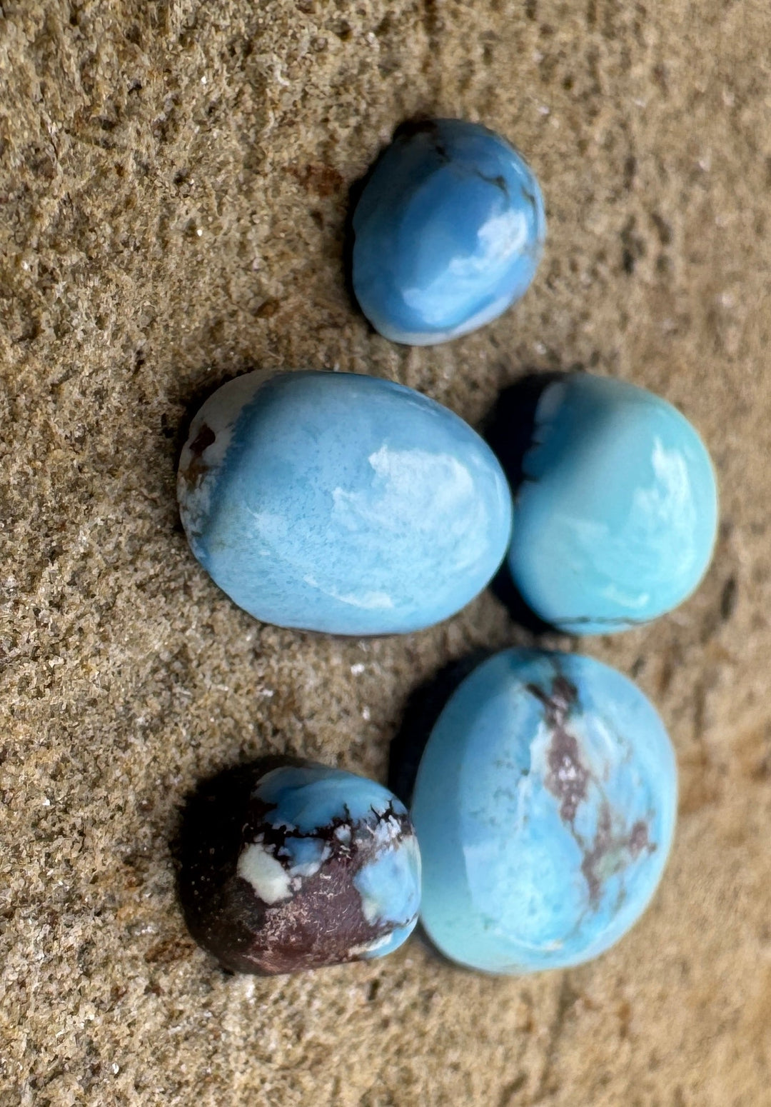 RARE Golden Hills Turquoise (Kazakhstan) Mini Cabochons Set
