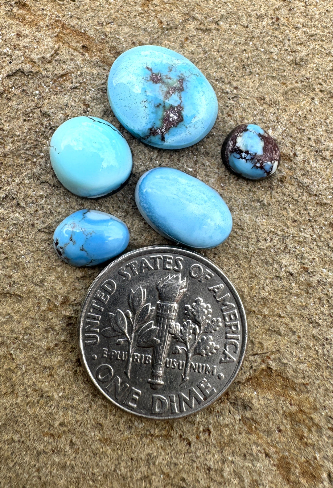 RARE Golden Hills Turquoise (Kazakhstan) Mini Cabochons Set