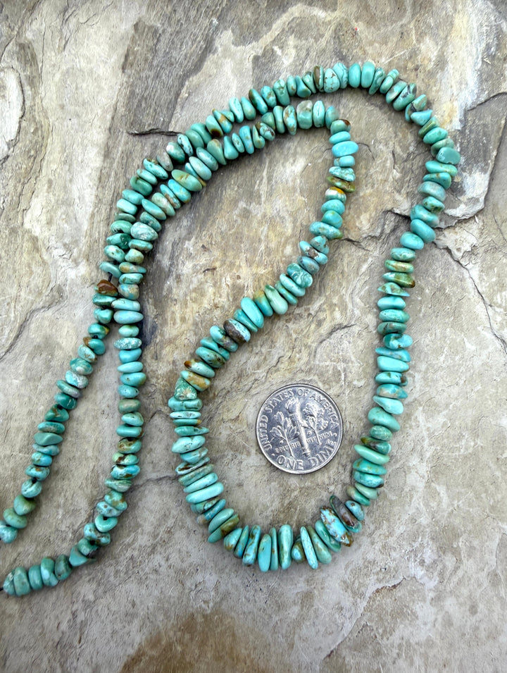 RARE Green Fox Turquoise (Nevada) Graduated 4x6mm Rounded