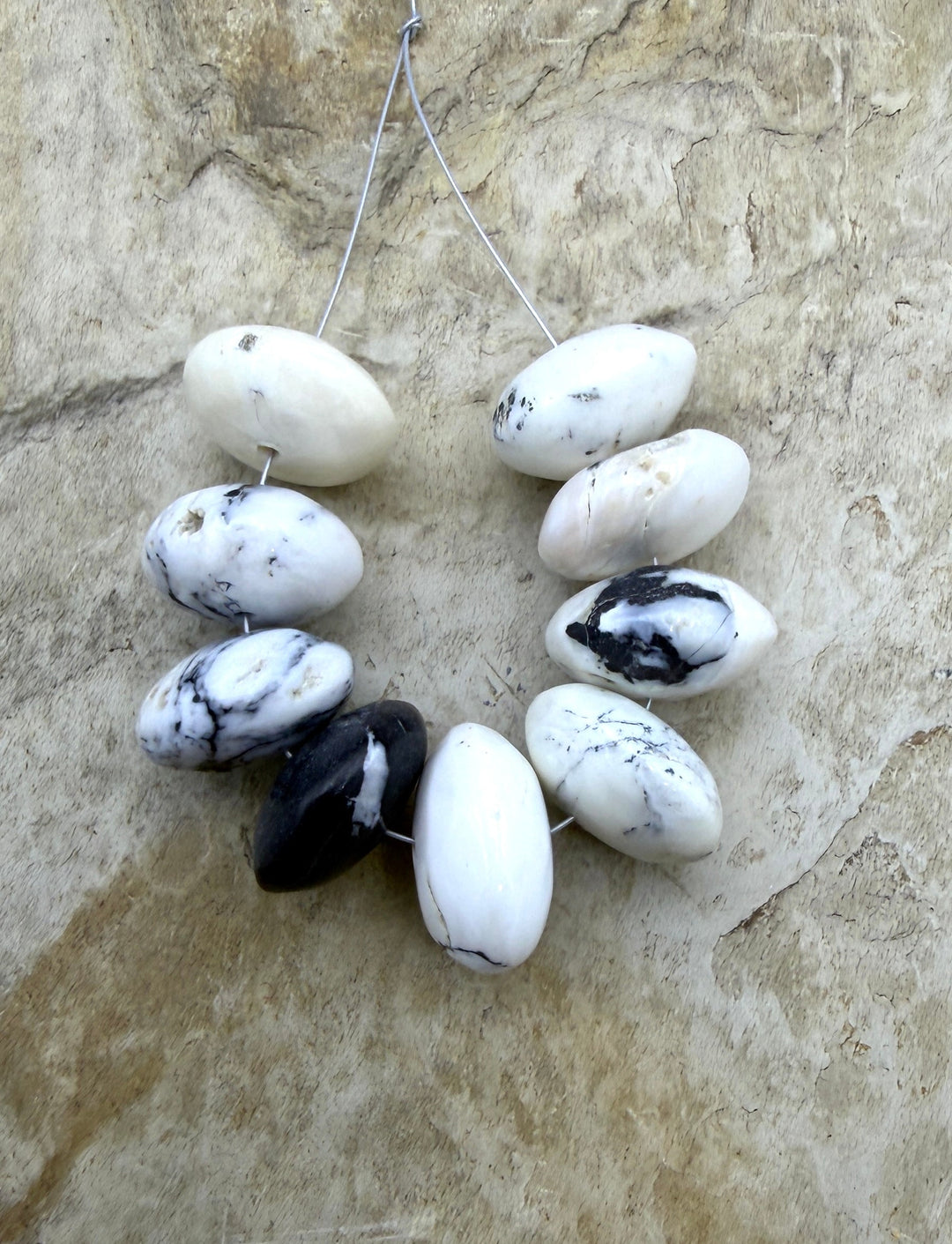 RARE High Quality White Buffalo (Nevada) BIG 13-14mm Saucer