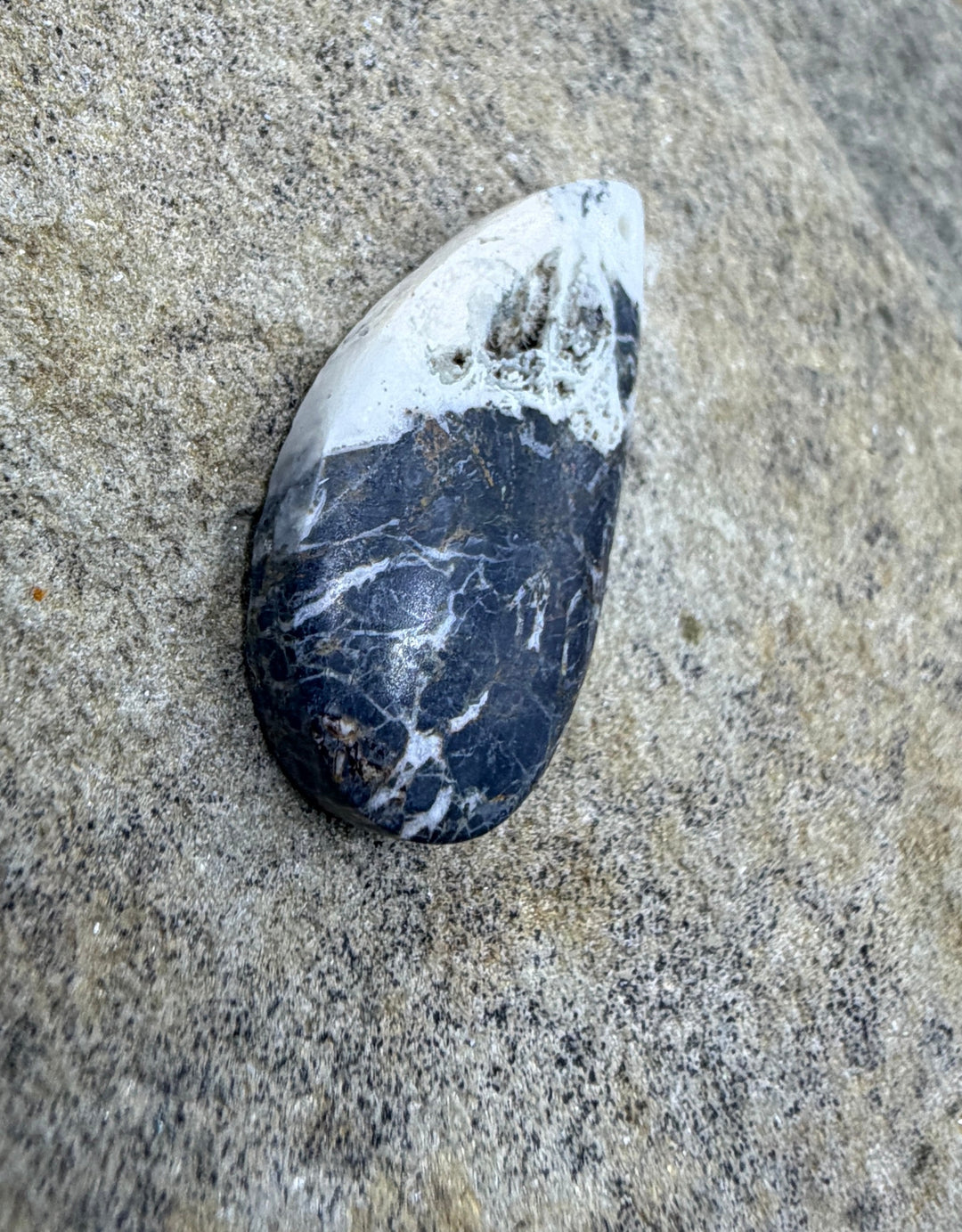 RARE High Quality White Buffalo (Nevada) Focal Pendant Bead