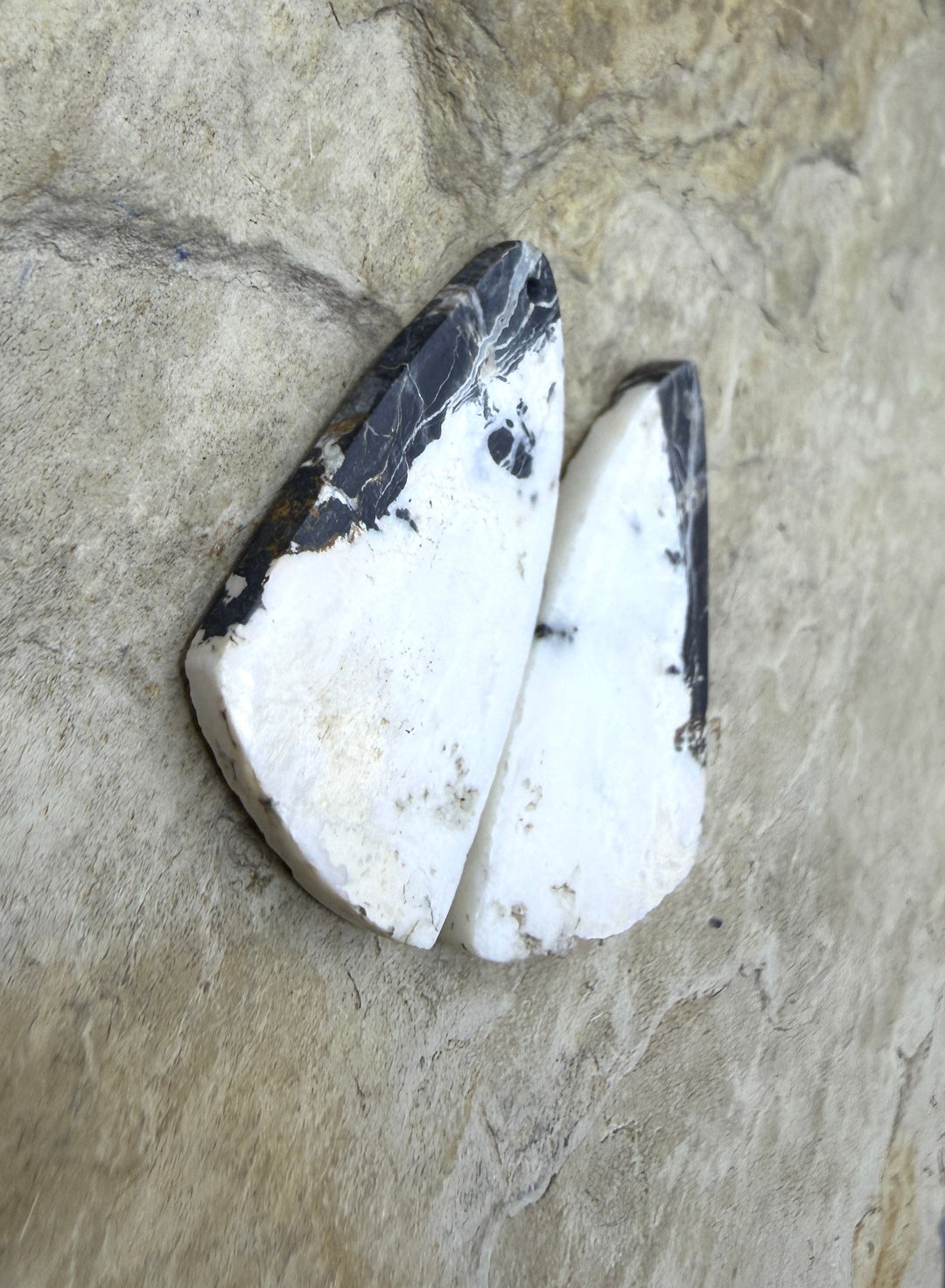 RARE High Quality White Buffalo (Nevada) Matching Earring