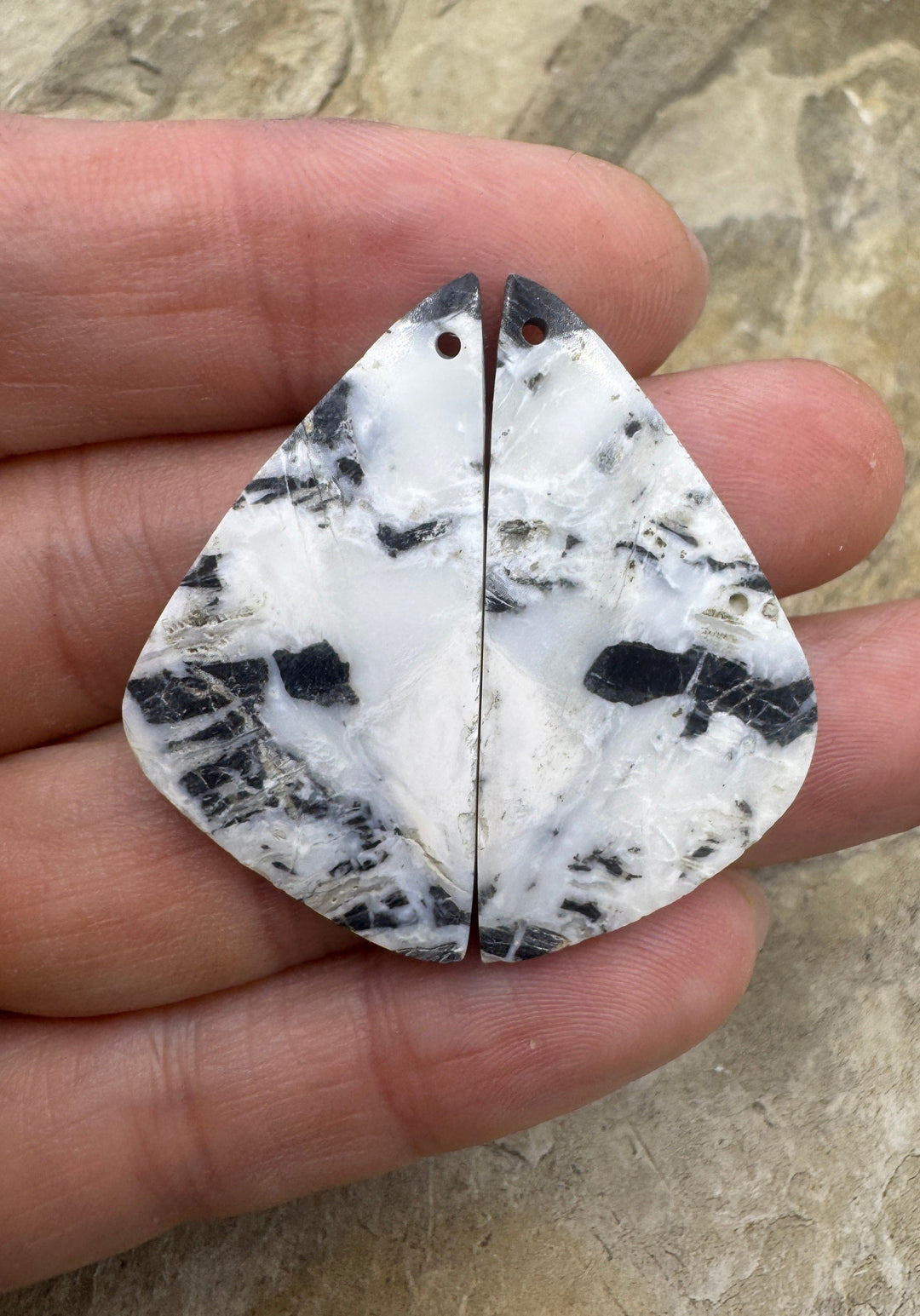 RARE High Quality White Buffalo (NV) Matching Earring Slab