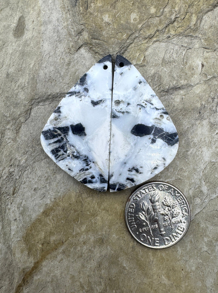 RARE High Quality White Buffalo (NV) Matching Earring Slab