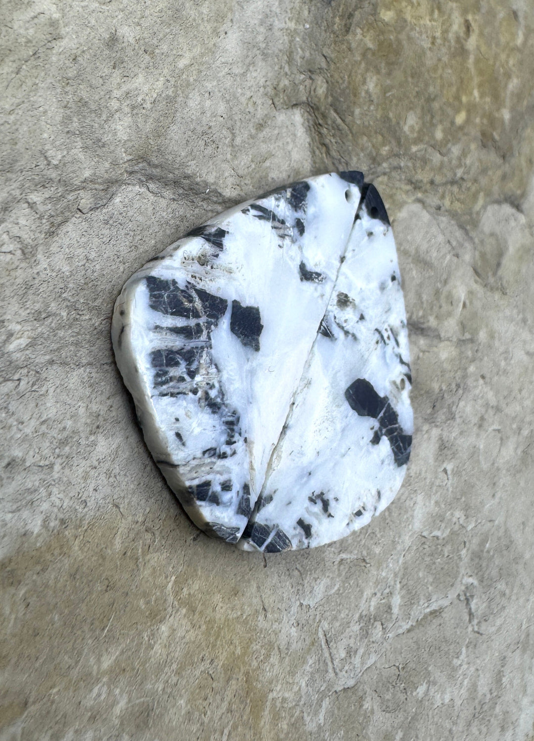 RARE High Quality White Buffalo (NV) Matching Earring Slab