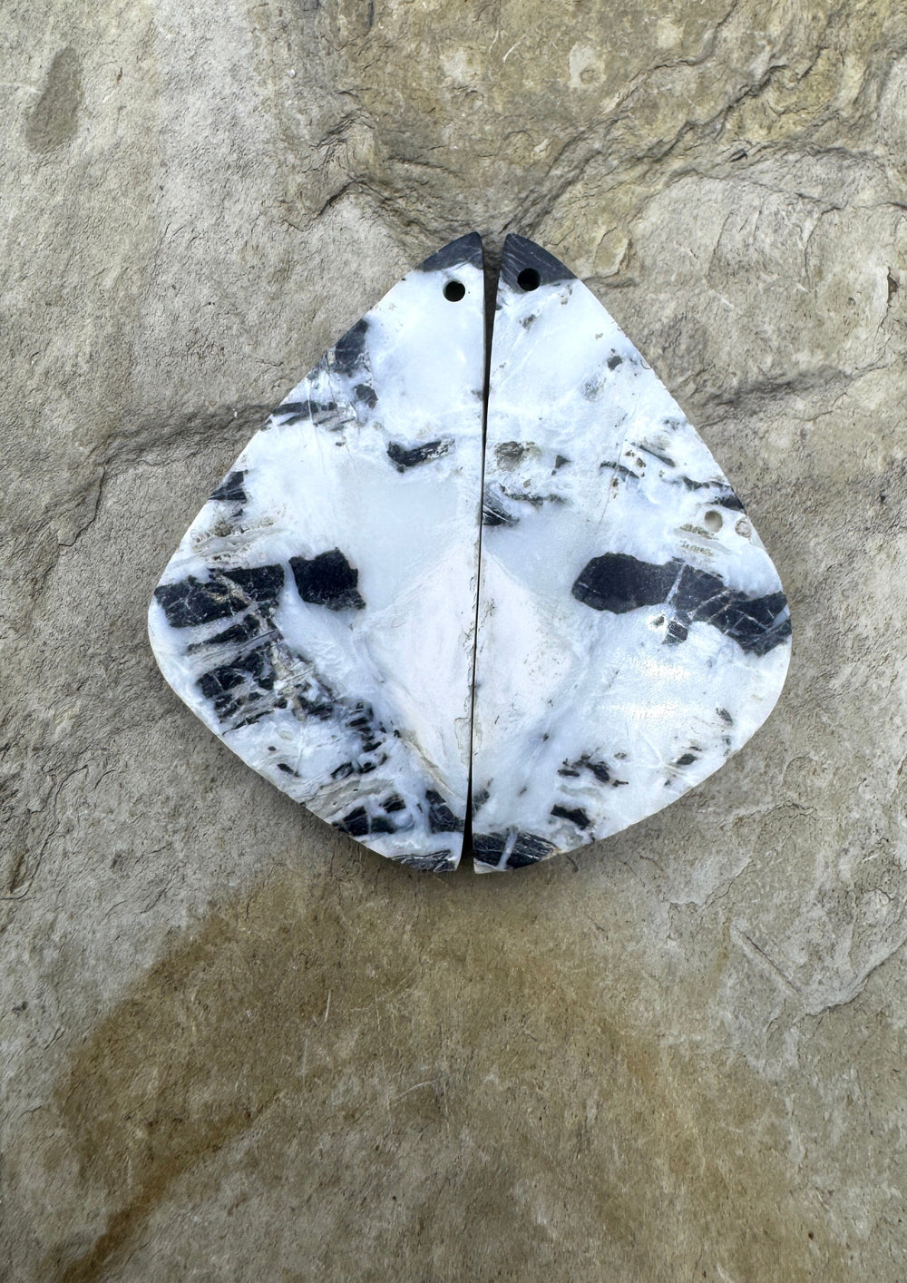 RARE High Quality White Buffalo (NV) Matching Earring Slab