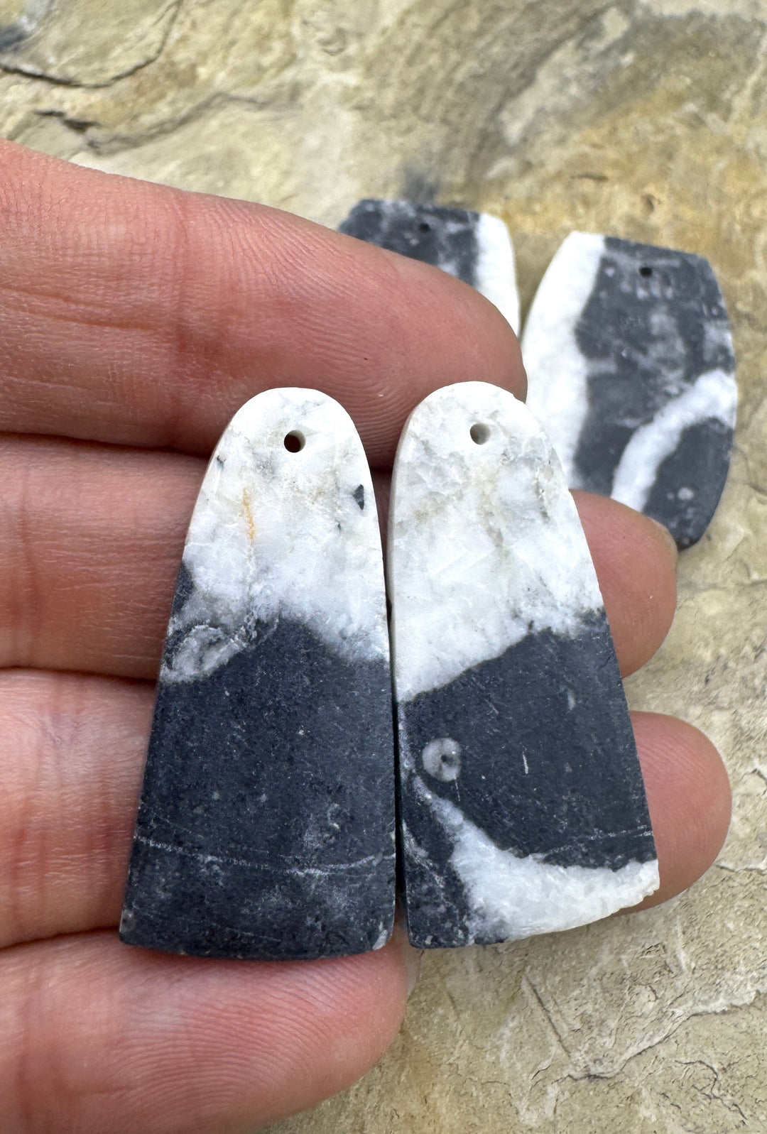 RARE High Quality White Buffalo (NV) Matching Earring Slab