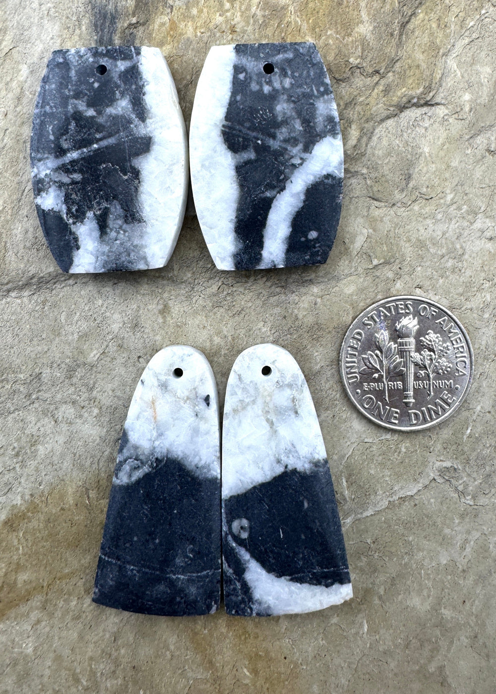 RARE High Quality White Buffalo (NV) Matching Earring Slab