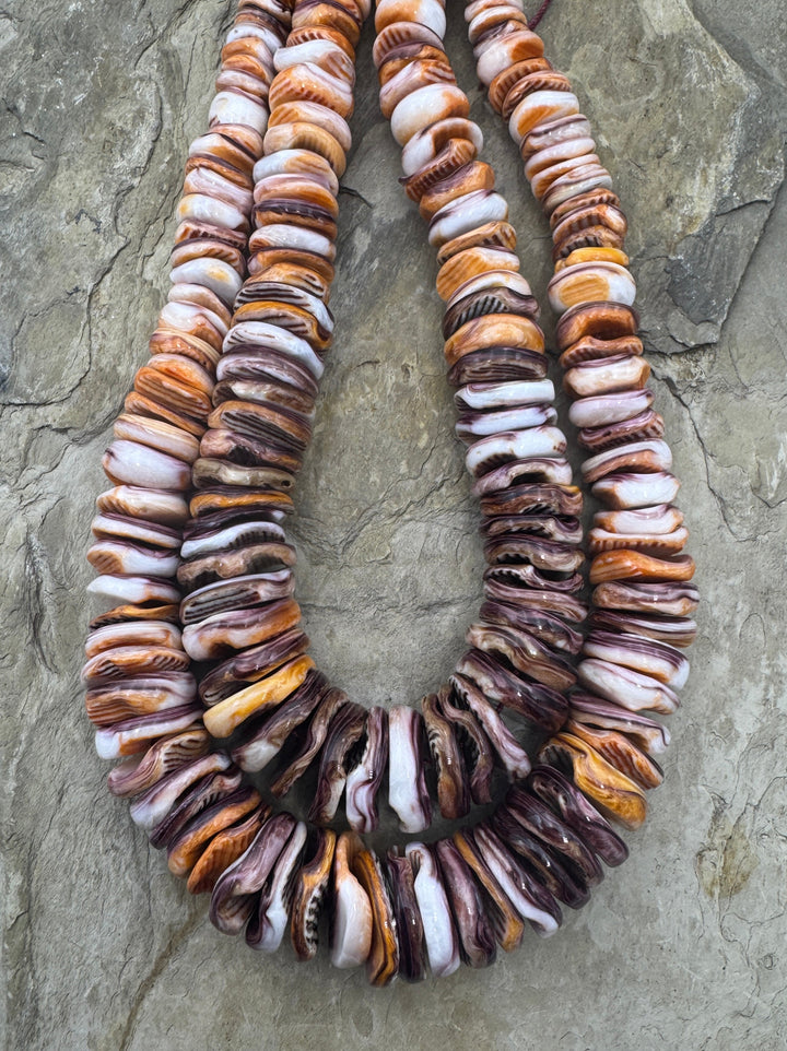 RARE Lions Paw BIG Graduated 8-18mm Irregular Rondelle