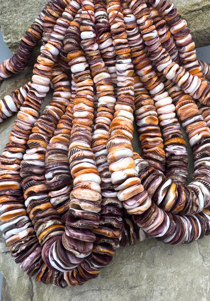 RARE Lions Paw BIG Graduated 8-18mm Irregular Rondelle