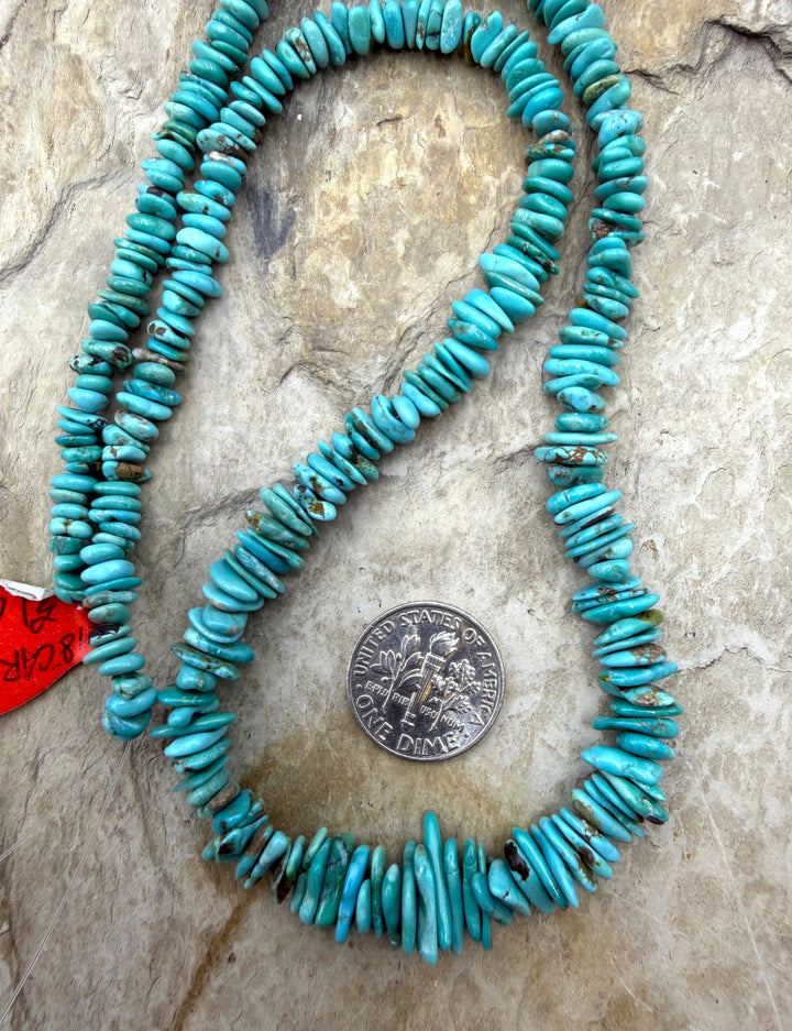 RARE Natural Carico Lake Turquoise (Nevada) 3-9mm Graduate