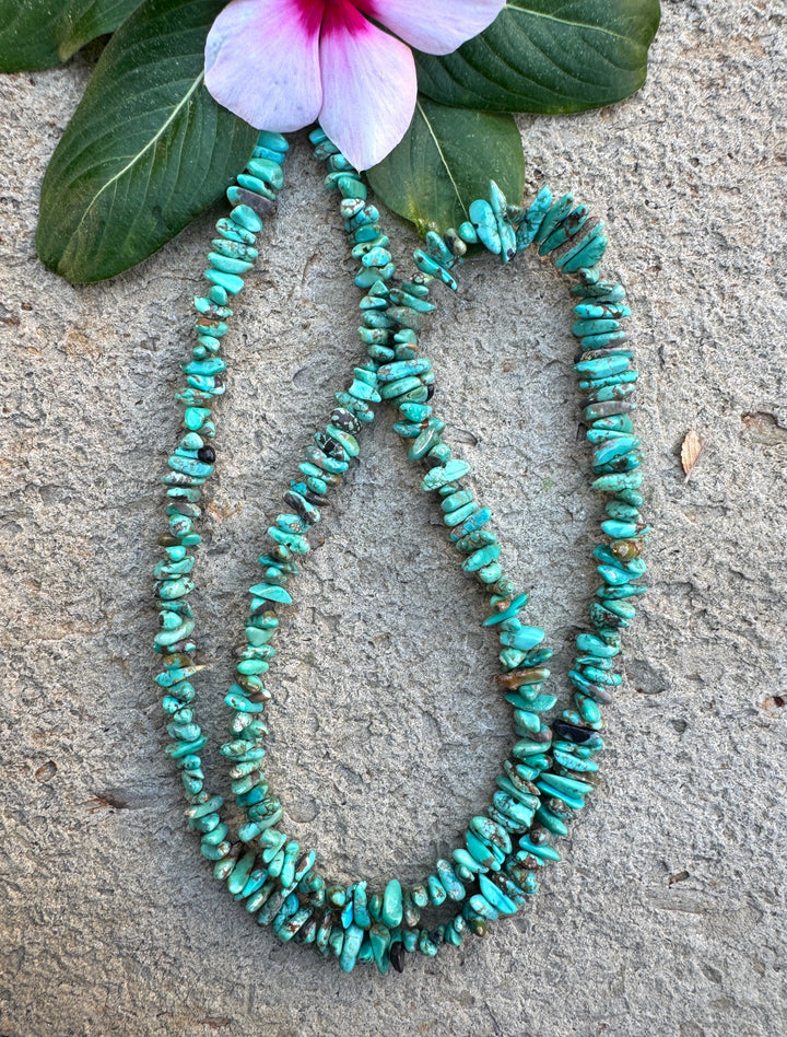 RARE NATURAL Carico Lake Turquoise (Nevada) Graduated