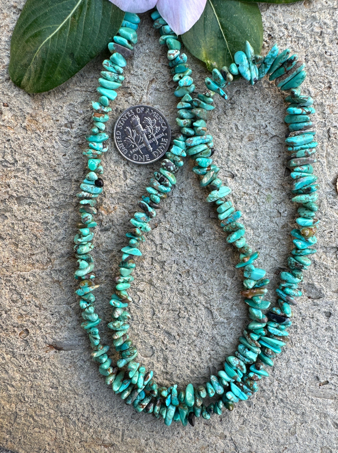 RARE NATURAL Carico Lake Turquoise (Nevada) Graduated