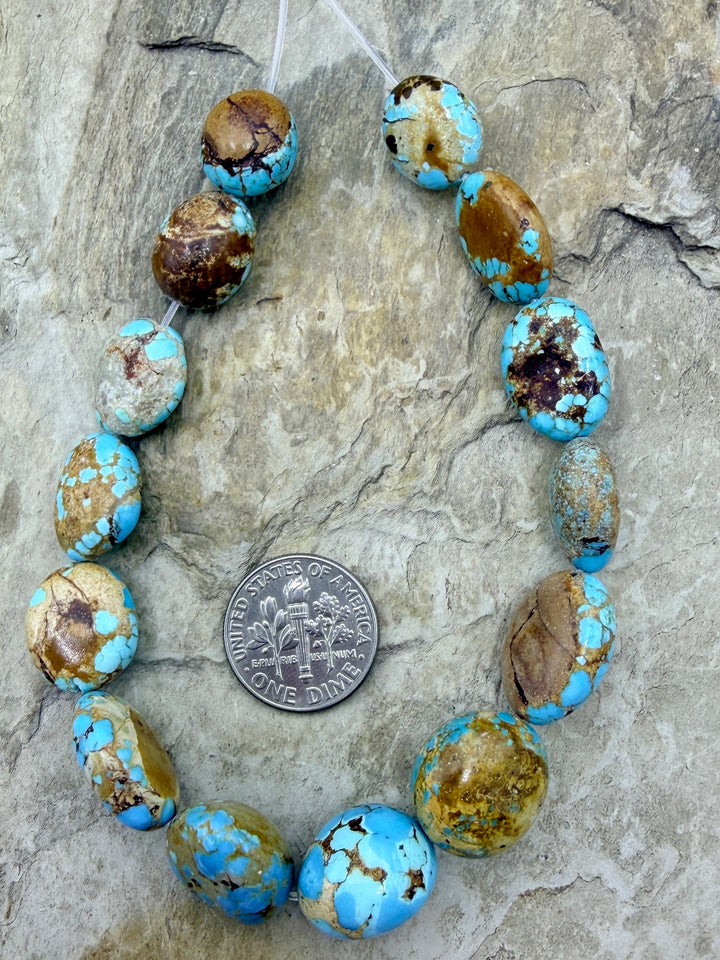 RARE Number 8 Turquoise (Nevada) Graduated Round Nugget